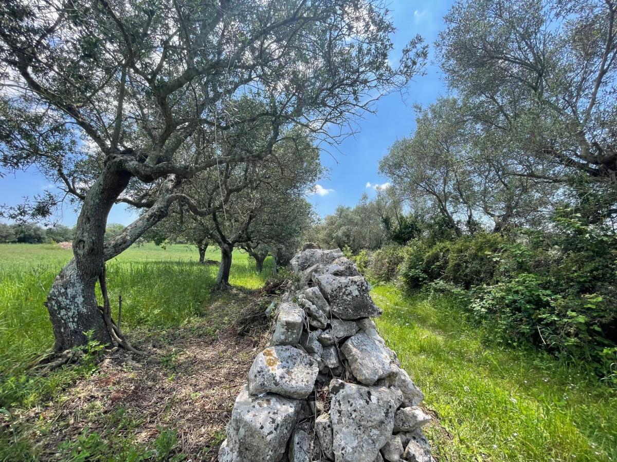 Trullo Trullallero 马丁纳弗兰卡 外观 照片