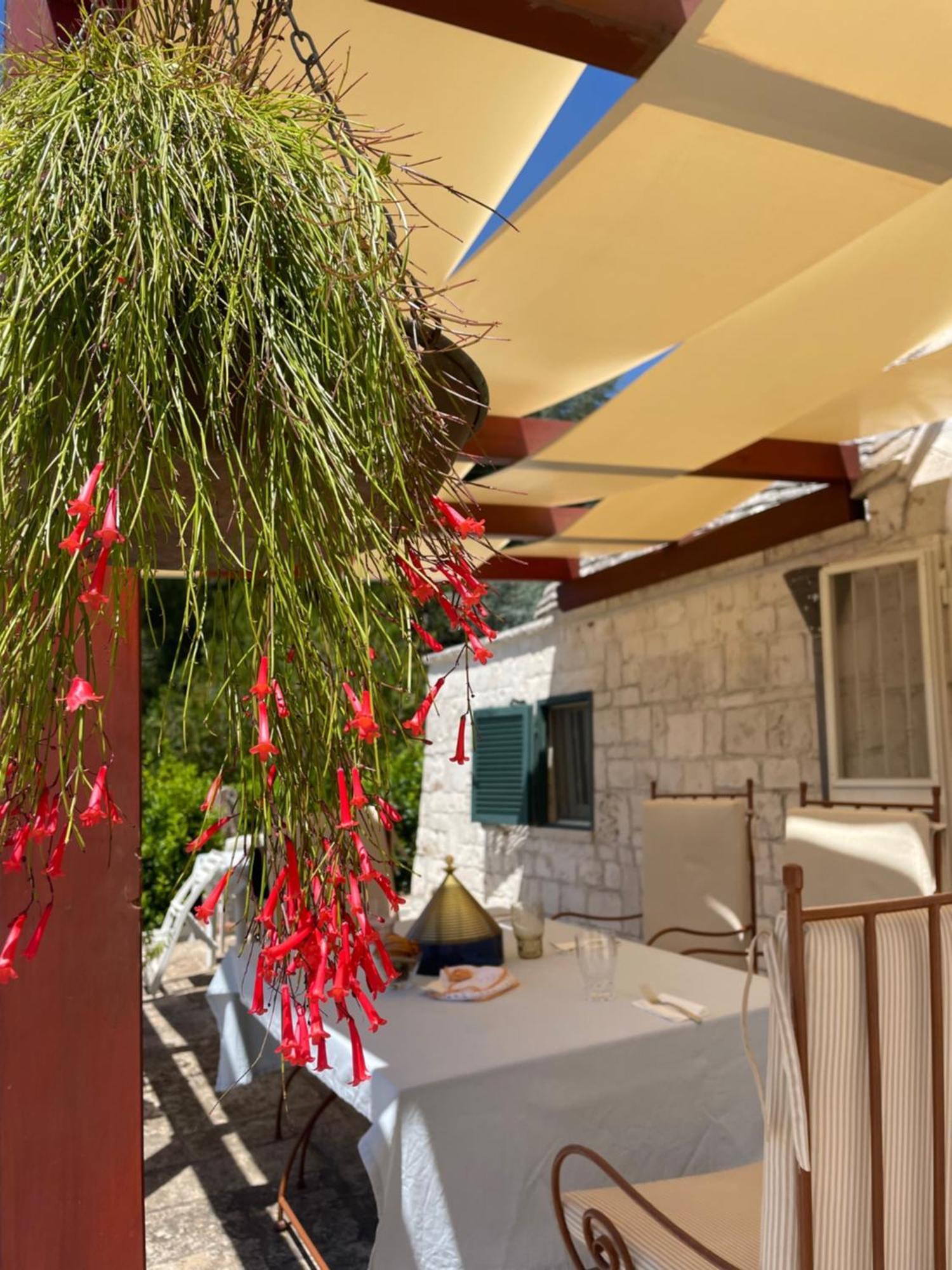 Trullo Trullallero 马丁纳弗兰卡 外观 照片