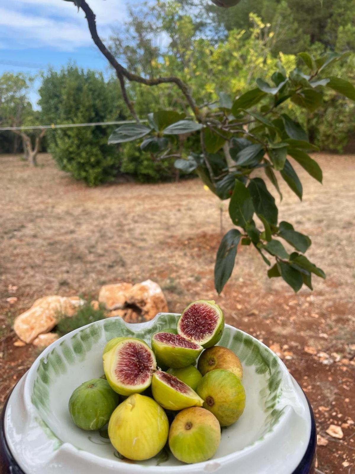 Trullo Trullallero 马丁纳弗兰卡 外观 照片